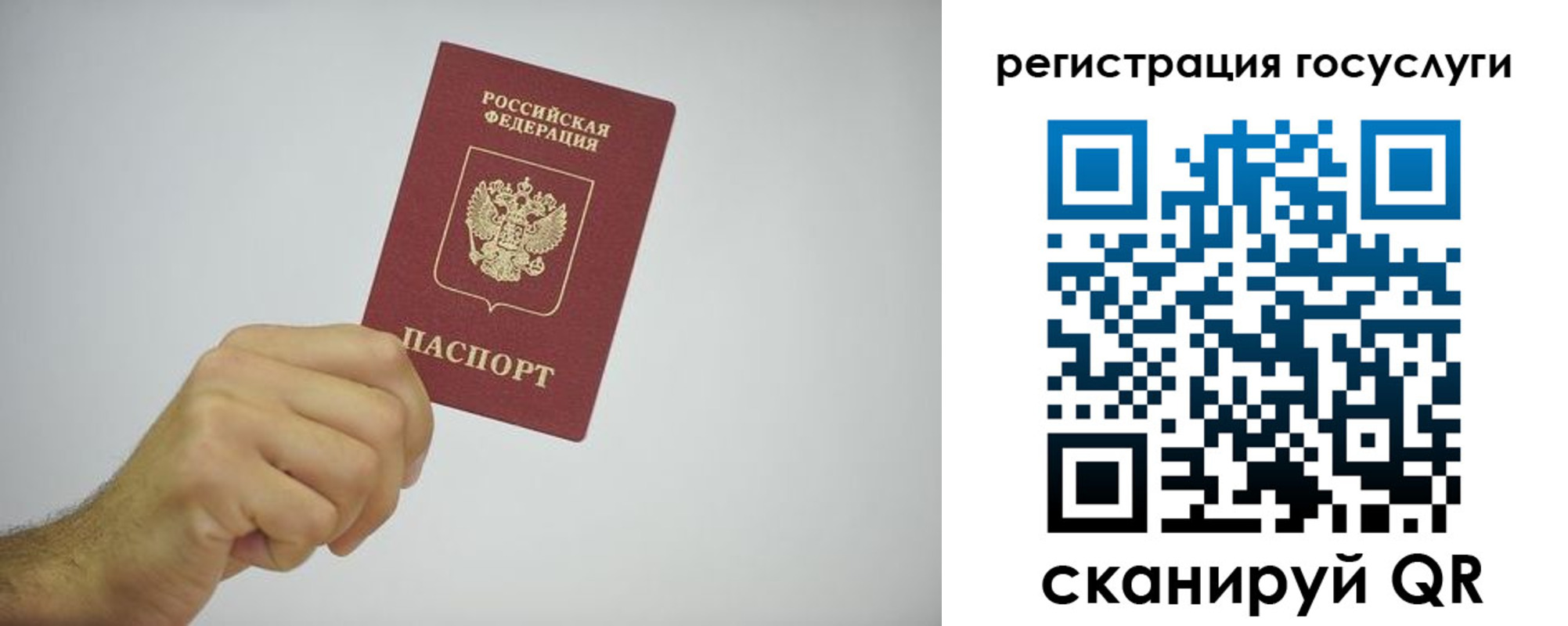 временная регистрация гарантия в Снежногорске